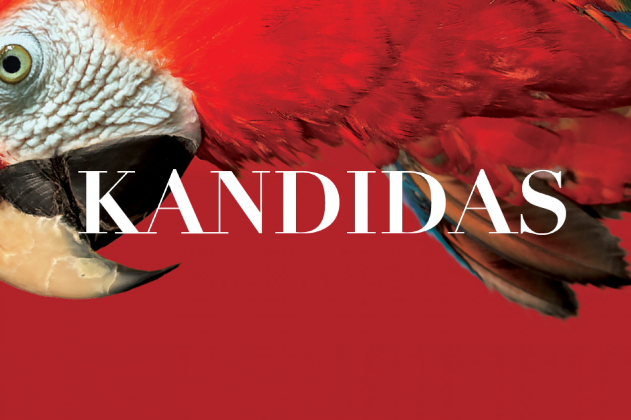 „Kandido“ trikampis: LNOBT kviečia į premjeros pristatymo renginius