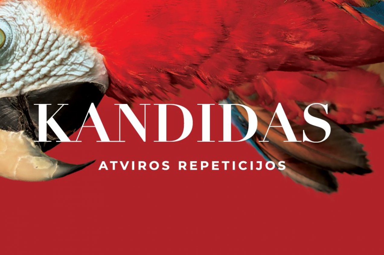 LNOBT kviečia į atviras „Kandido“ repeticijas 