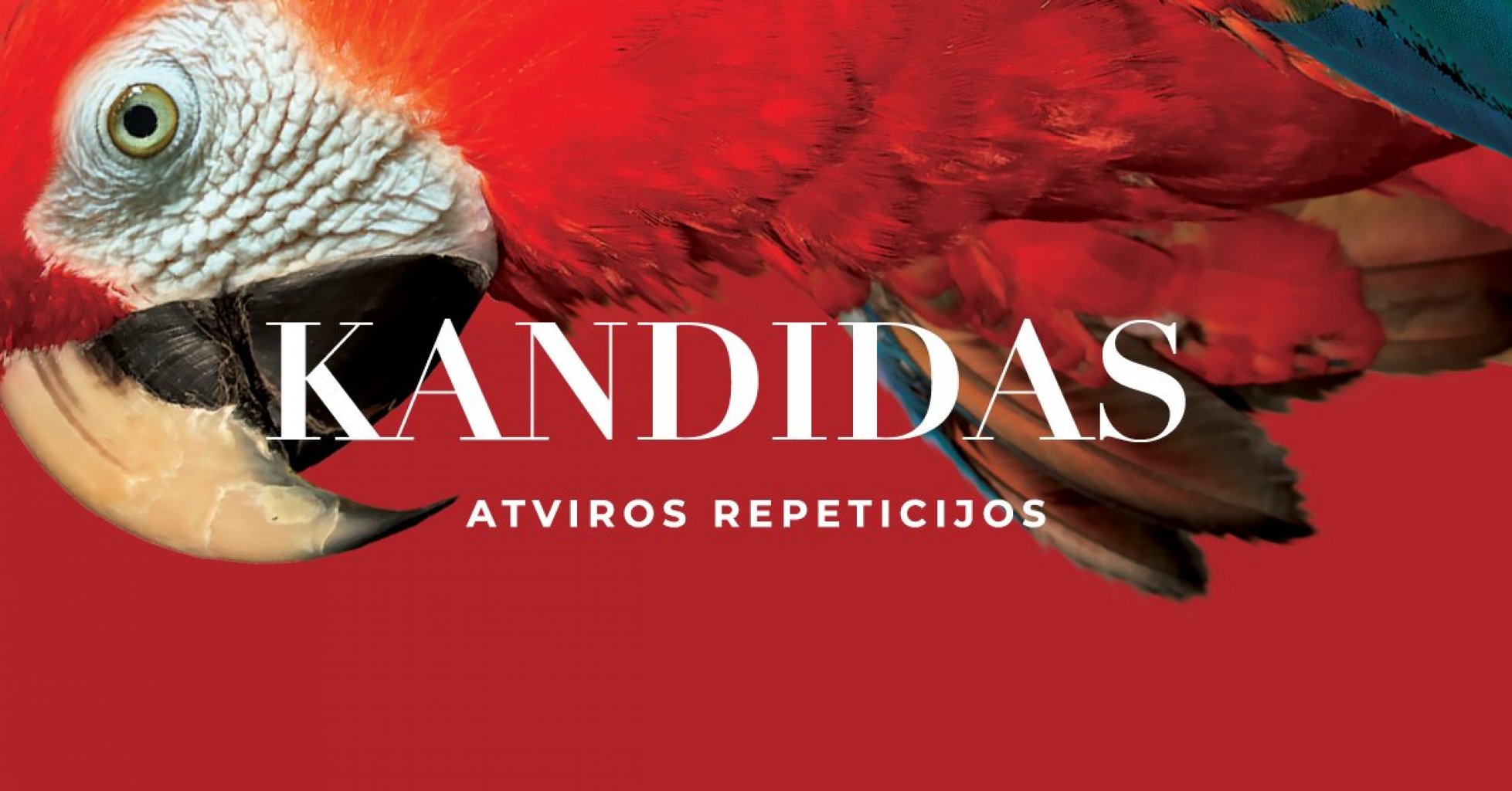 LNOBT kviečia į atviras „Kandido“ repeticijas 