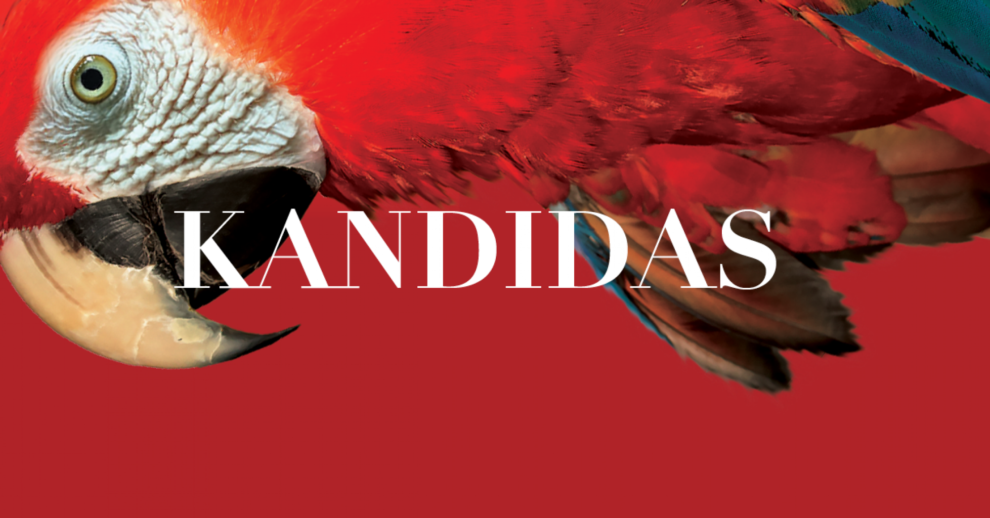 „Kandido“ trikampis: LNOBT kviečia į premjeros pristatymo renginius