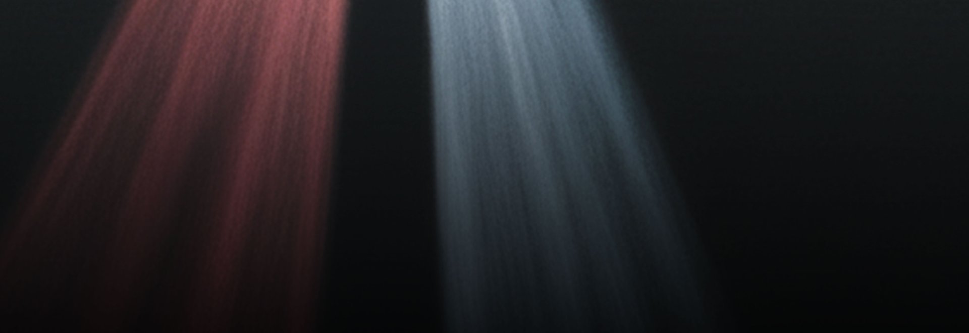 Gailestingumo altorius | Laisvės gynėjų dienai